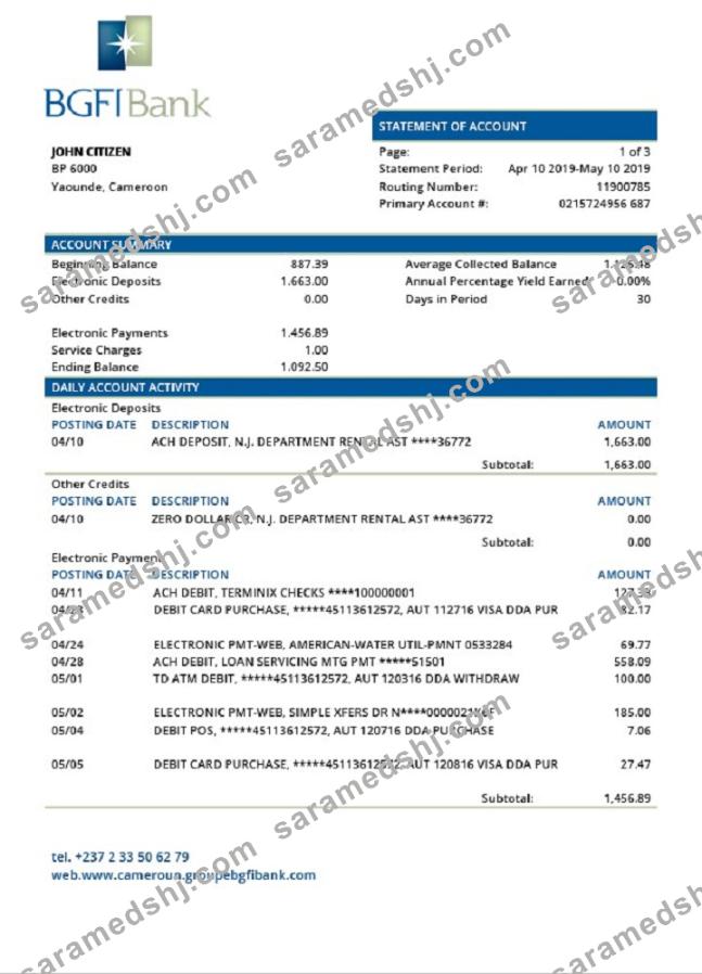 Cameroon BGFI Bank statement template, Word and PDF format